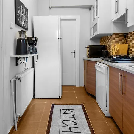 Fully Equipped & Modern Designed Spectacular 3br 公寓 伊斯坦布尔